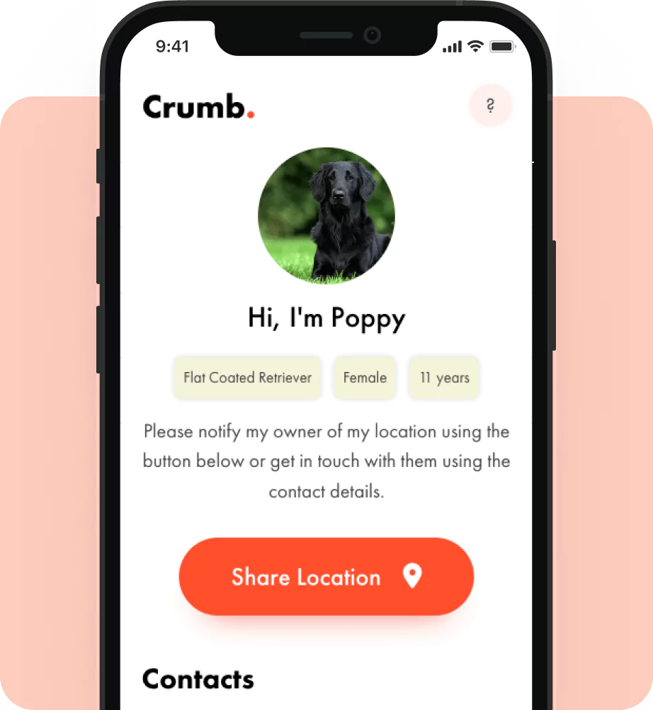 online pet profile